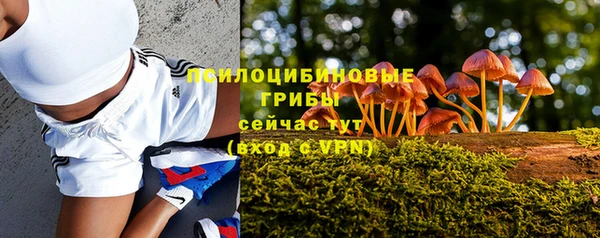 а пвп мука Няндома